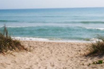 Dollman Beach